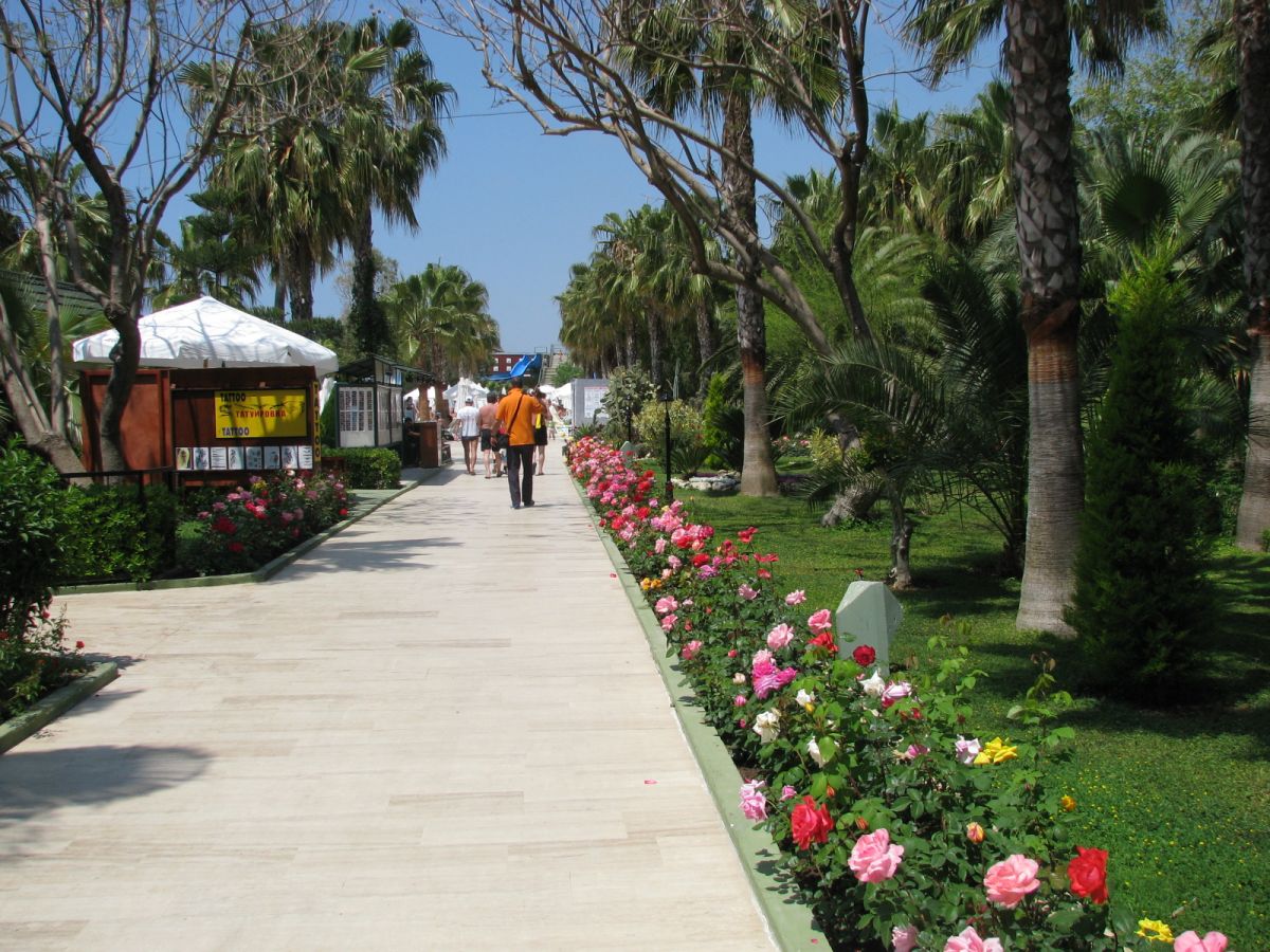 imagini hotel DELPHIN BOTANIK